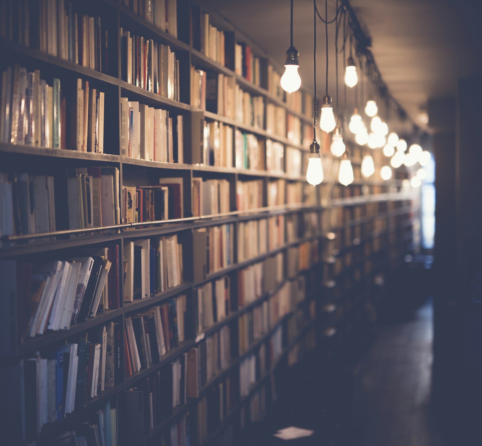 University library shelves